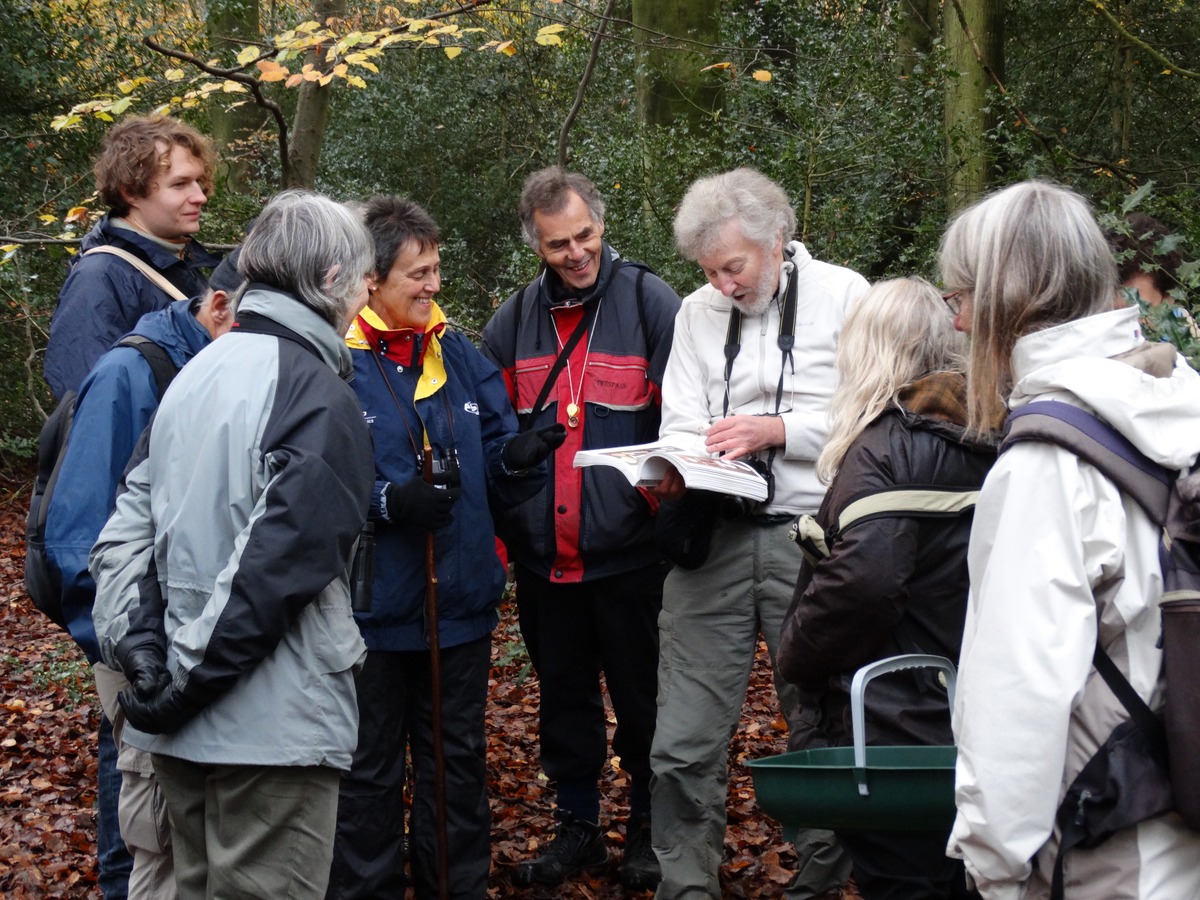 Tony Marshall identifying fungi, Prestwood Common